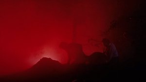 Images posters