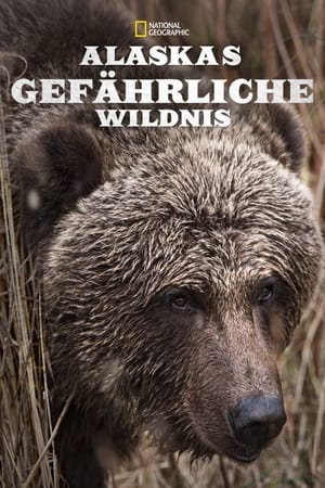 Image Alaskas gefährliche Wildnis