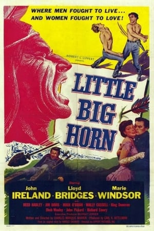 Little Big Horn poster