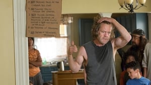 Shameless – Nicht ganz nüchtern: 7×4