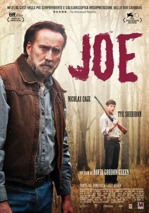 Poster Joe 2014