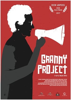 Poster Granny Project (2017)