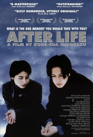 Poster После жизни 2008
