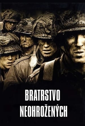 Poster Bratstvo neohrozených 2001