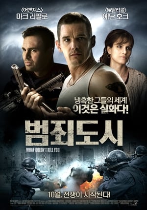 Poster 범죄도시 2008