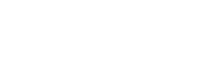 The Visit