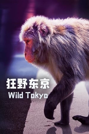 Poster Tóquio Selvagem 2021