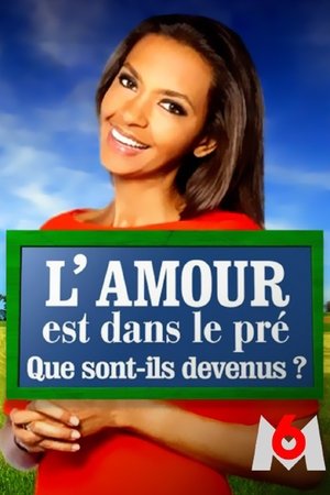 Saison 8