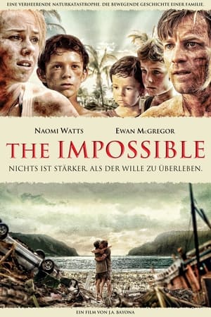 Poster The Impossible 2012