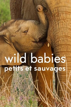 Wild Babies : Petits et Sauvages 2022