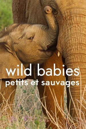 Wild Babies : Petits et Sauvages movie poster