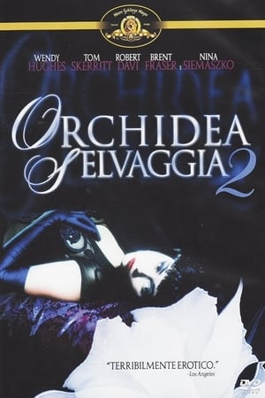 Orchidea selvaggia 2