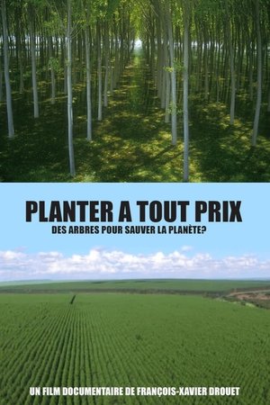 Planter à tout prix - Des arbres pour sauver la planète ? (2025)
