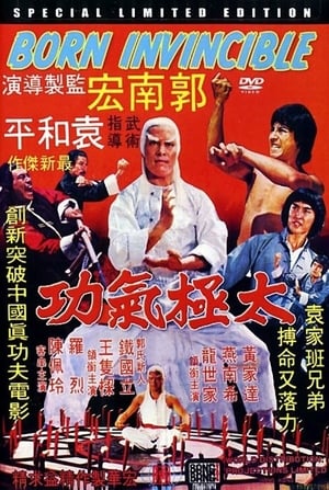 Poster 太极气功 1978