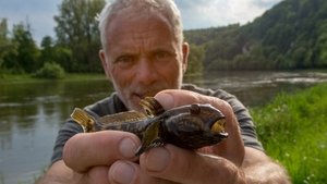 Jeremy Wade's Mighty Rivers The Danube