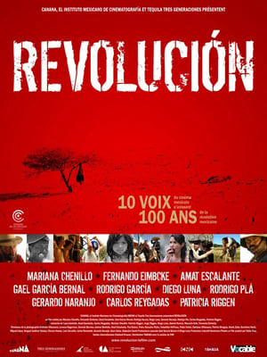 Poster Revolución 2010