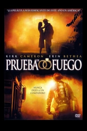 Poster Prueba de fuego 2008