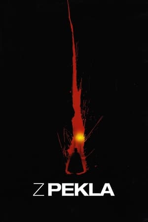 Poster Z pekla 2001