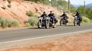 Born to be Wild – Saumäßig unterwegs