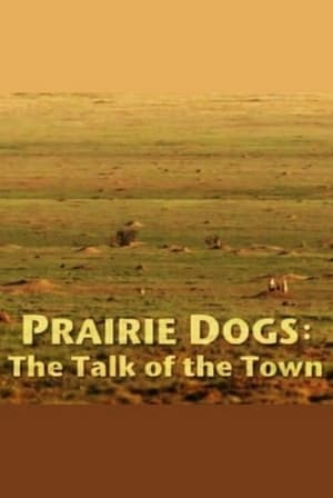 Poster Prairie Dogs: Talk of the Town 2010