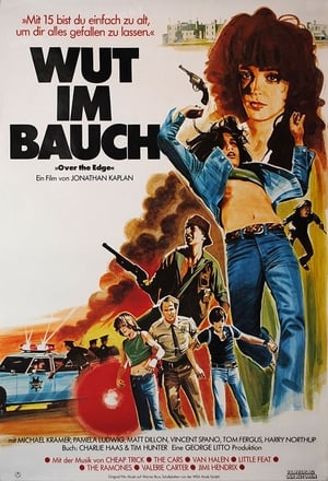 Wut im Bauch (1979)