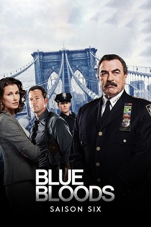 Blue Bloods: Saison 6