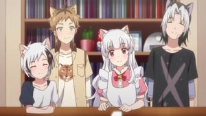 Uchitama?! ~Uchi no Tama Shirimasen ka~?: Saison 1 Episode 11