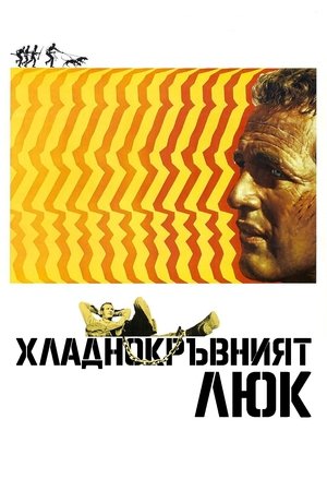 Image Хладнокръвният Люк