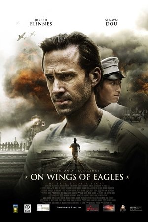 Watch On Wings of Eagles online
