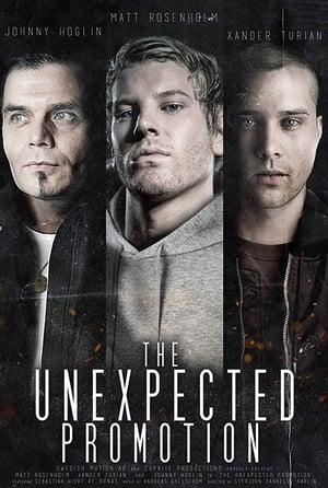 Poster The Unexpected Promotion 2017