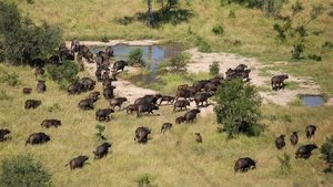 Extreme Airport Africa Racing The Sun