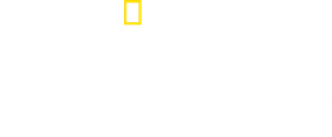 Casa na Natureza