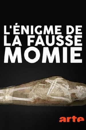 Poster L'énigme de la fausse momie (2014)