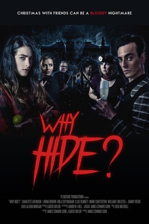 Why Hide? (2017)