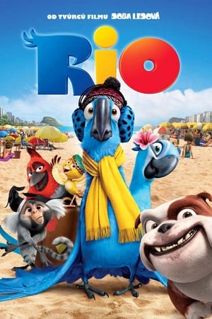 Poster Rio 2011