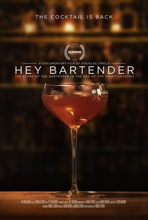 Poster Hey Bartender 2013