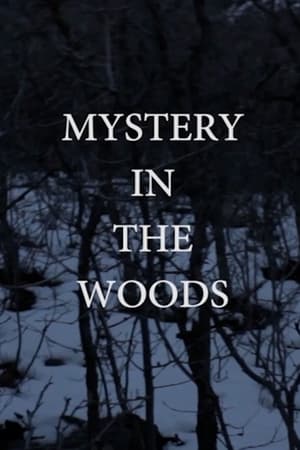 Image Mystery in the Woods