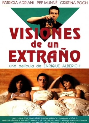 Poster Visiones de un extraño (1991)