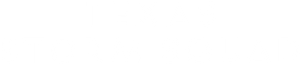 Texas Storm Squad — Logos 1