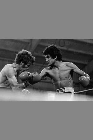 Poster Salvador Sanchez vs. Danny Lopez I 1980