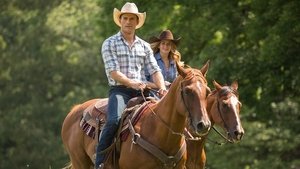 The Longest Ride (2015)