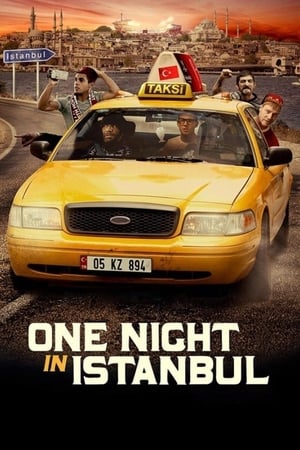 Poster Pamiętna noc w Stambule 2014