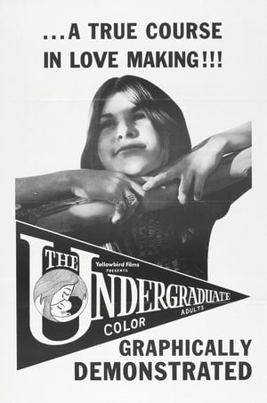 Image The Undergraduate