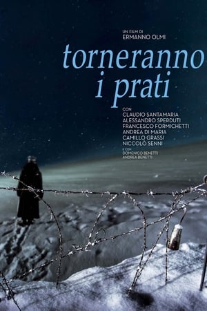 Poster Torneranno i prati 2014