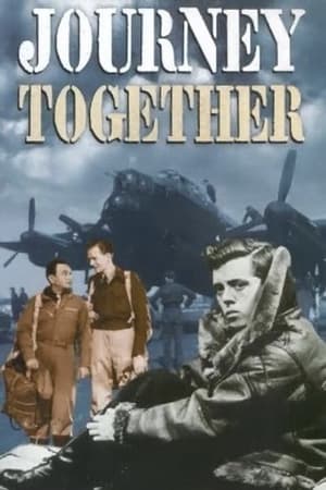 Poster Совместное путешествие 1945