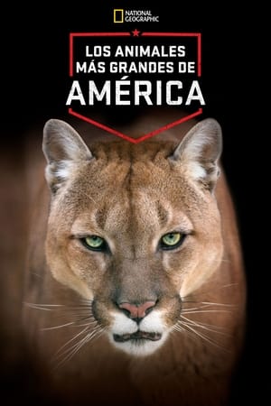 Image America's Greatest Animals