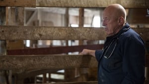 The Incredible Dr. Pol Nerves of Steer