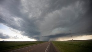 New Breed Of Storms