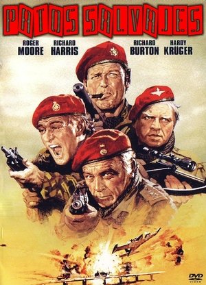 <Images posters
