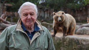 David Attenborough’s Natural Curiosities: 4×1